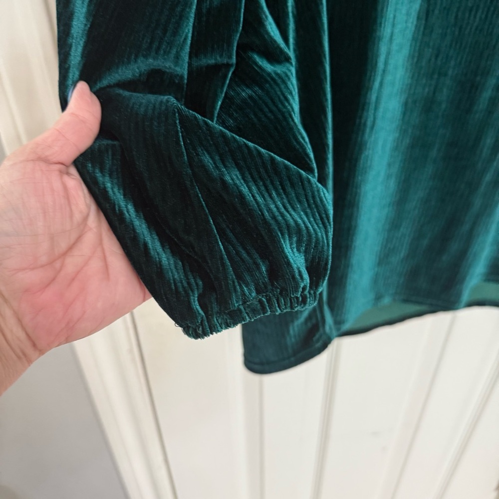 Adrianna Papell Deep Green Velvet Blouse - Picture 5 of 5